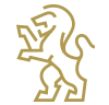 home-custom-icon-2